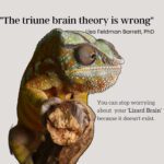 You do not have a lizard brain