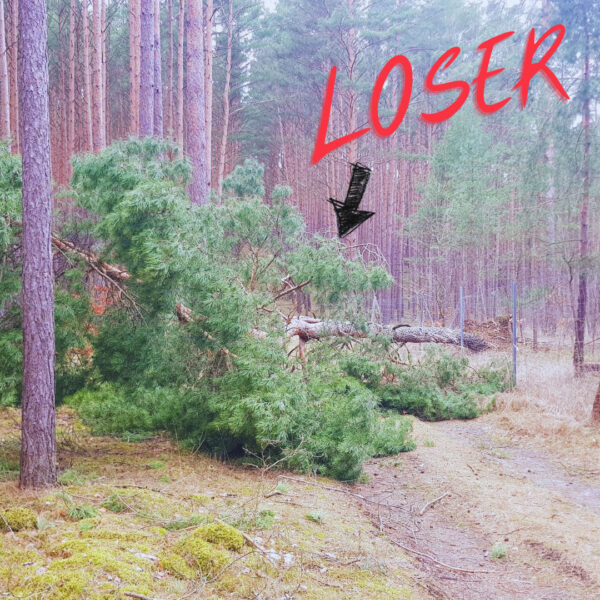 Would you call a tree a loser?